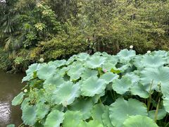 -成都杜甫草堂博物馆