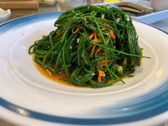 凉拌沙葱-蒙古大营(朝阳公园店)