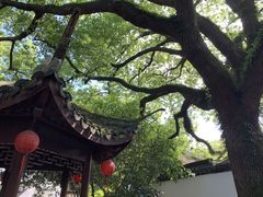 -上海醉白池公园