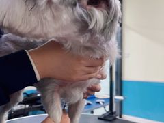 -天宠宠物医院24小时·急重症诊疗中心·全科·腔镜特色(和平分院)