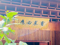 -深圳仙湖植物园
