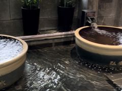 -弘安丽水温泉酒店