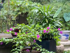 -谷咖啡·鲜花绿植花园餐厅