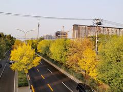 -玲珑塔公园
