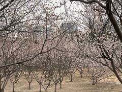 -太阳宫公园