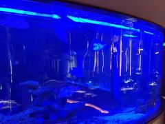 -上和臻品中国菜(花园街店)