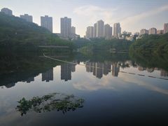 -重庆彩云湖湿地公园