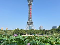 -裕华世纪公园