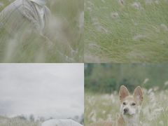 -白鹭湾湿地公园