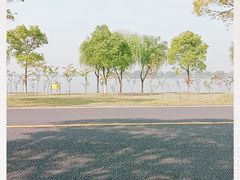-漕湖湿地公园