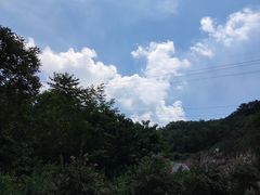 -木兰云雾山