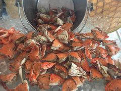 -视界美食自助餐厅·石家庄希尔顿酒店