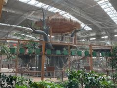 -南宫五洲植物乐园