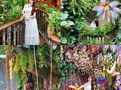 -正佳雨林生态植物园