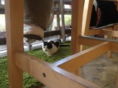 iphone_upload_pic-MIKAKU(万达广场上海宝山店)