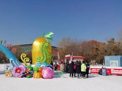 -沈阳奥体冰雪嘉年华