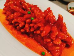 -丽华园(青少年宫店)