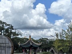 -江心屿景区