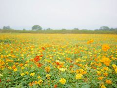 -良渚古城遗址公园
