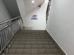 -重庆市奥林匹克体育中心-游泳跳水馆