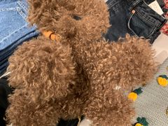 -ZARA HOME(长楹天街购物中心店)