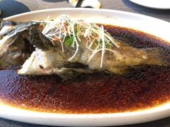 -羲和雅苑•北京烤鸭(平安国际金融中心店)