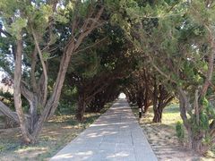 -洛阳古墓博物馆