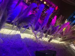 -ohbar live house(人广店)