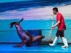 -乌鲁木齐海洋馆