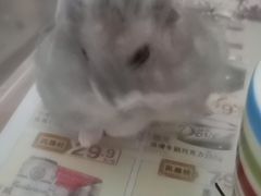 -龙猫仔乐园(惠福东路店)