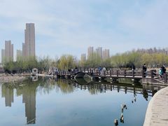 -前关湿地公园