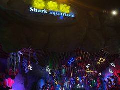 -横店影视城梦幻谷园区