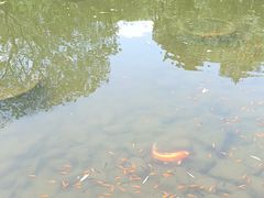 -白马涧龙池景区