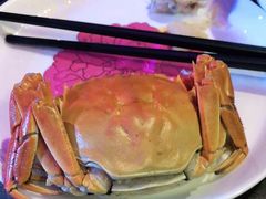 -蟹榭·本帮江浙菜·蟹宴(五角场合生汇商场店)