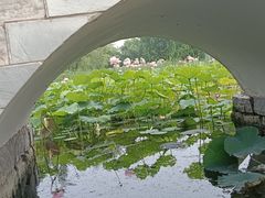 -东升八家郊野公园