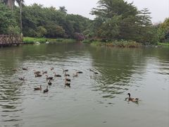 -海珠湖公园