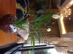 桂林粥城漓江菜(滨江路店)-桂客膳房·珍品堂