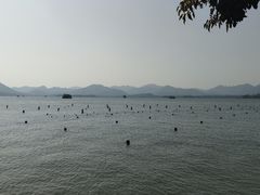 -西湖游船