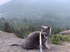 -玉苍山国家森林公园