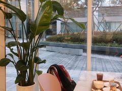 -BILLY ANGEL蛋糕店(三成COEX店)
