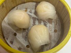 -新一味普宁肠粉王(梅林店)