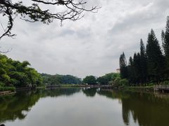 -三水森林公园