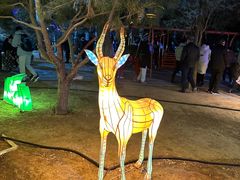 -南宫五洲植物乐园