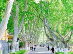 -T80科技文化国际社区-停车场