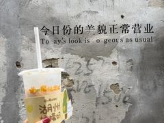 -猫的魔法密林(衣裳街店)