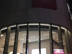 -TESLA 特斯拉(广州天环广场体验店)