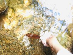 -浙西大峡谷