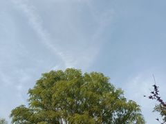 -石家庄市植物园