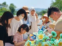 -苏州太湖西山岛开心农场