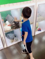 点击看大图 -七巧国萌宠乐园(龙湖天街店)